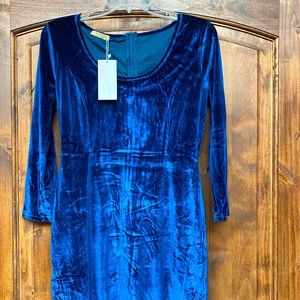 Blue Velvet dress